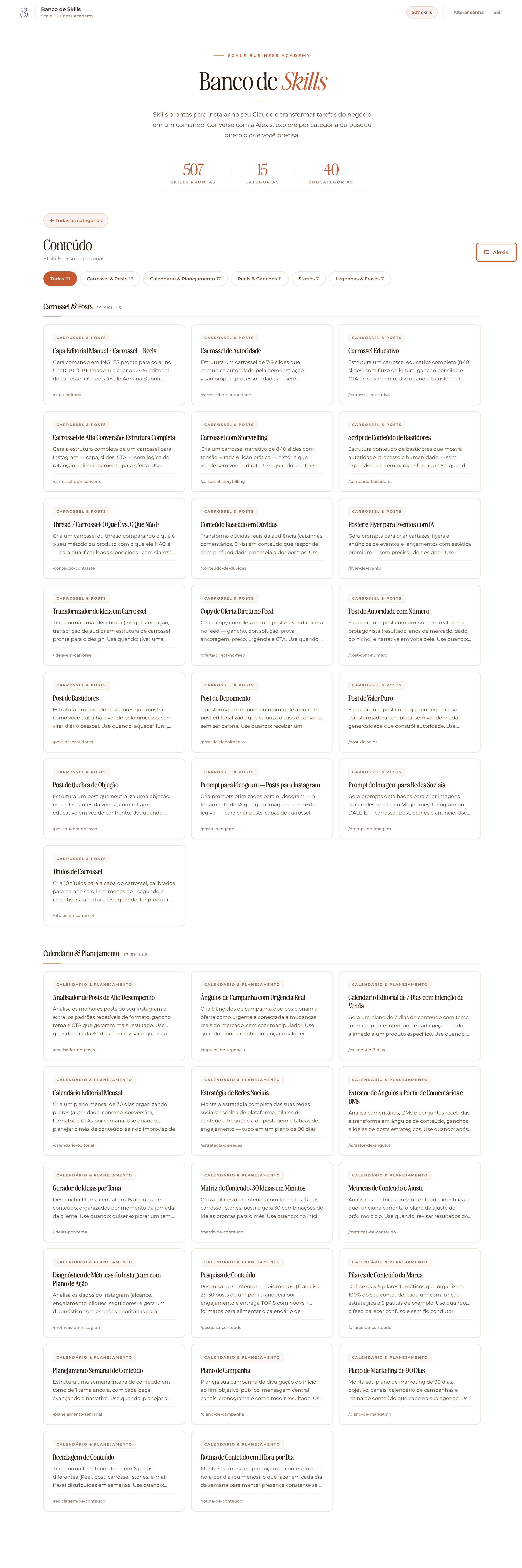Categoria de Skills aberta com filtros e cards